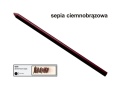 4378-3.jpg