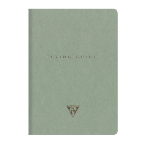 Notatnik Clairefontaine Flying Spirit Green 9x14cm - linie.jpg